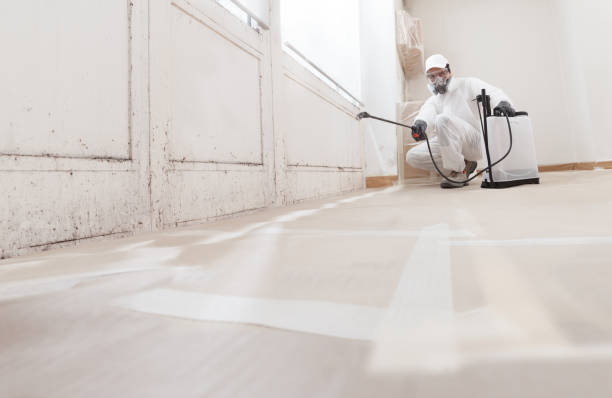 24/7 Emergency Mold Removal experts in Orrstown, PA